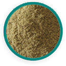 Dhania Powder