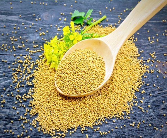 Mustard Seeds